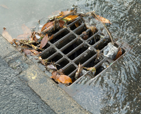 Image Depicts a storm drain clogged with leaves and rushing water