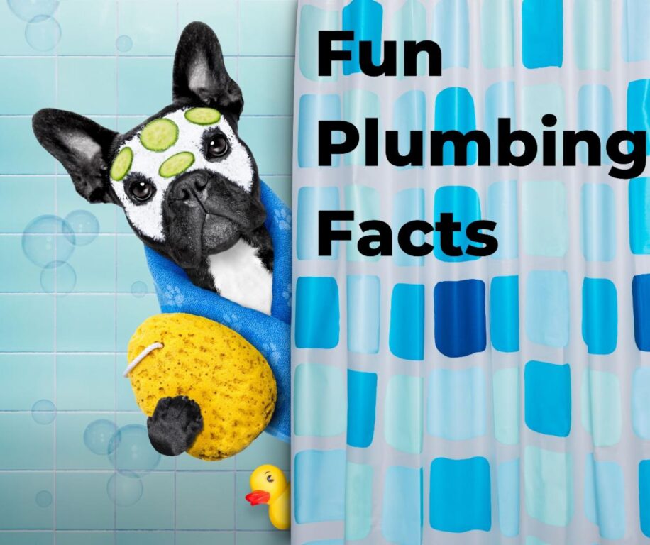 Did You Know These 5 Fun Facts About Plumbing?