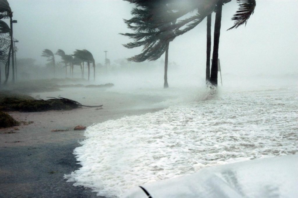 Beach shore in hurricane weather