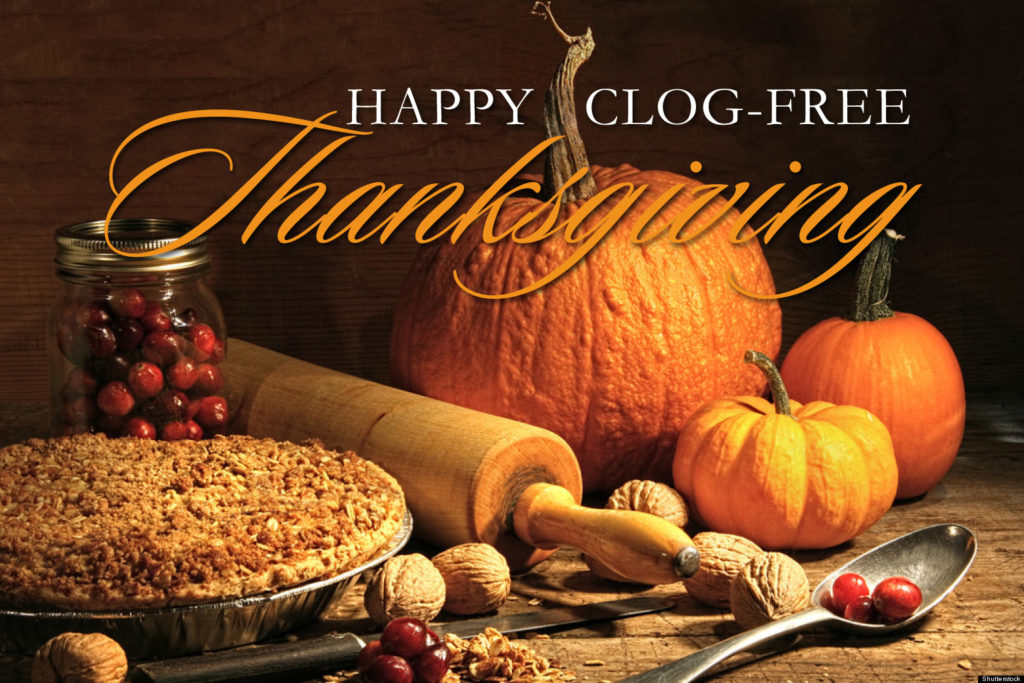 Enjoy a Clog-free Thanksgiving with these tips