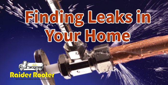 Find Costly Leaks in Your Home