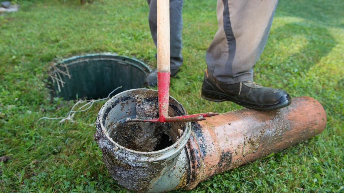 6 Signs Your Septic Tank Could Be Starting to Fail Raider Rooter